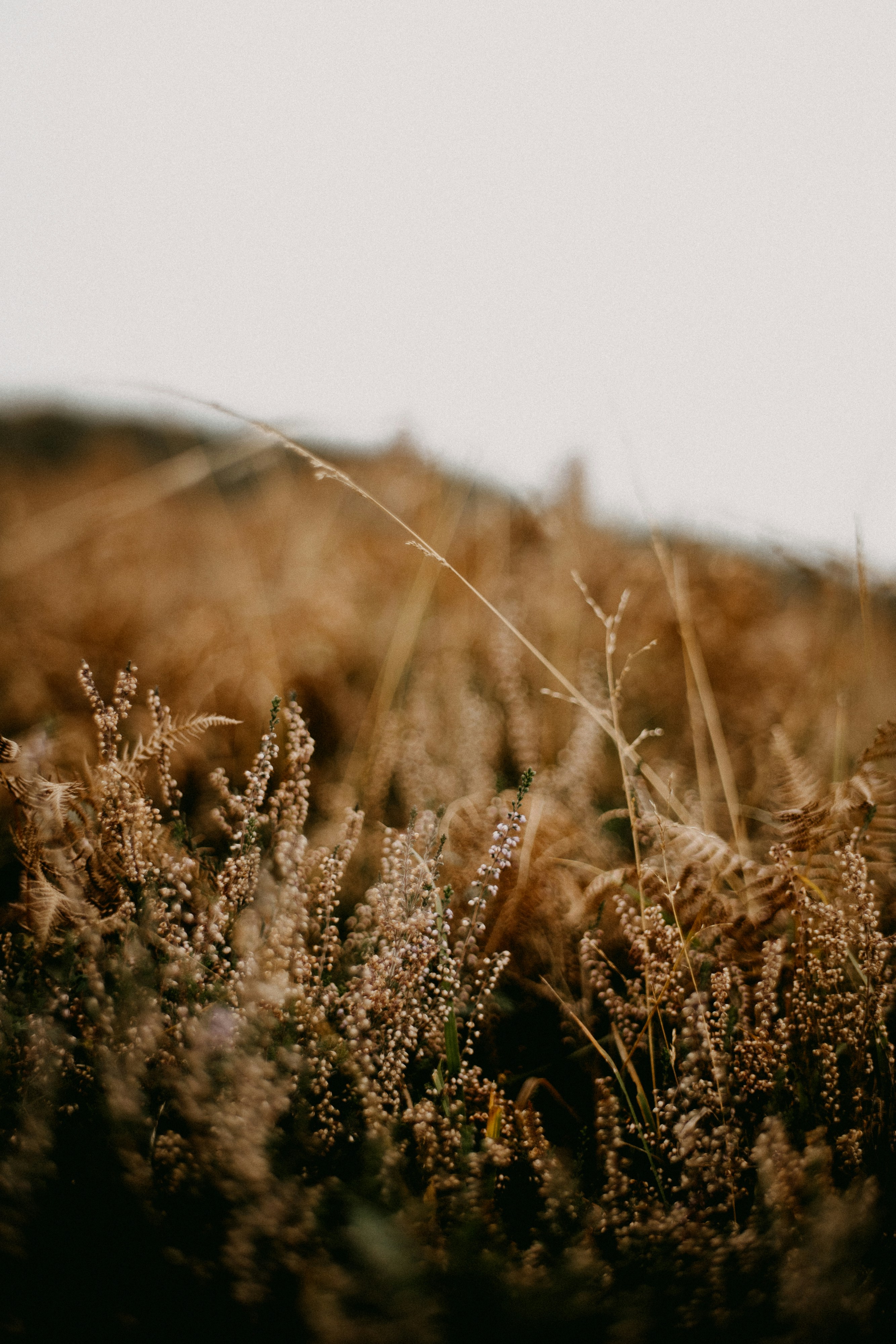 Photo by anniespratt