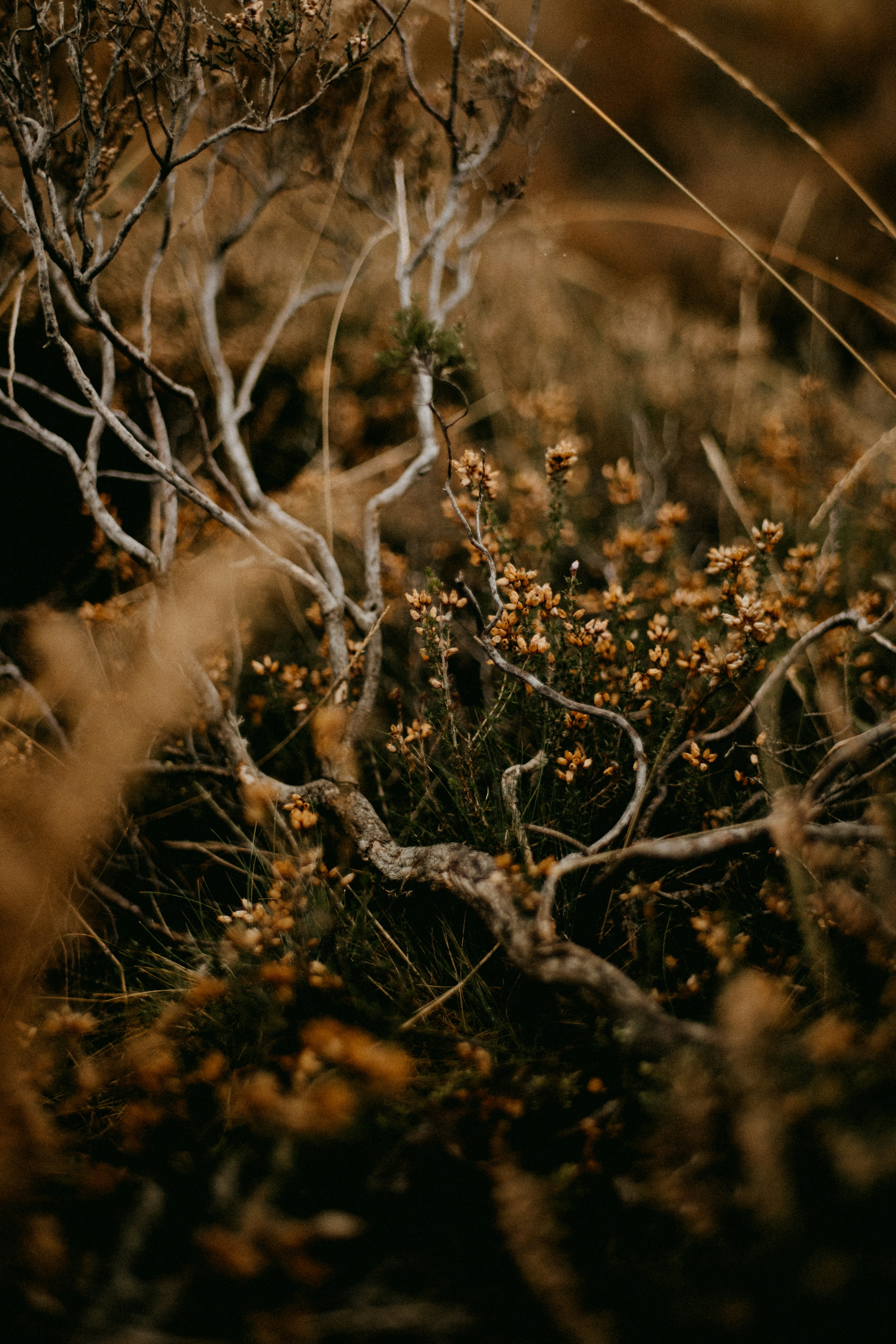 Photo by anniespratt