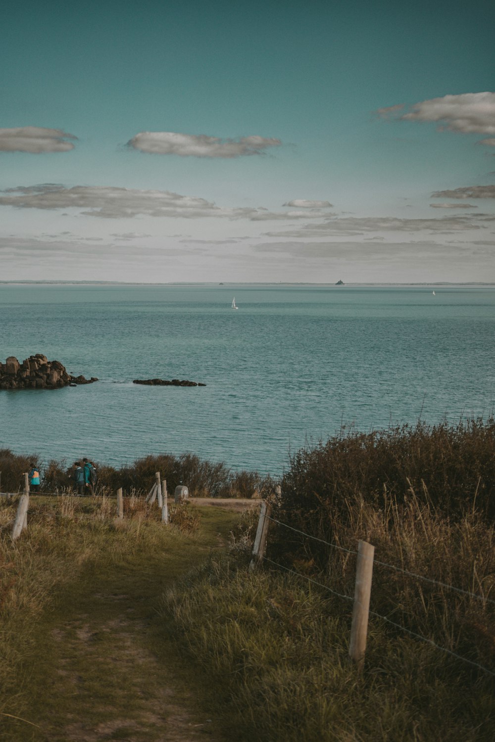 a path leading to a body of water