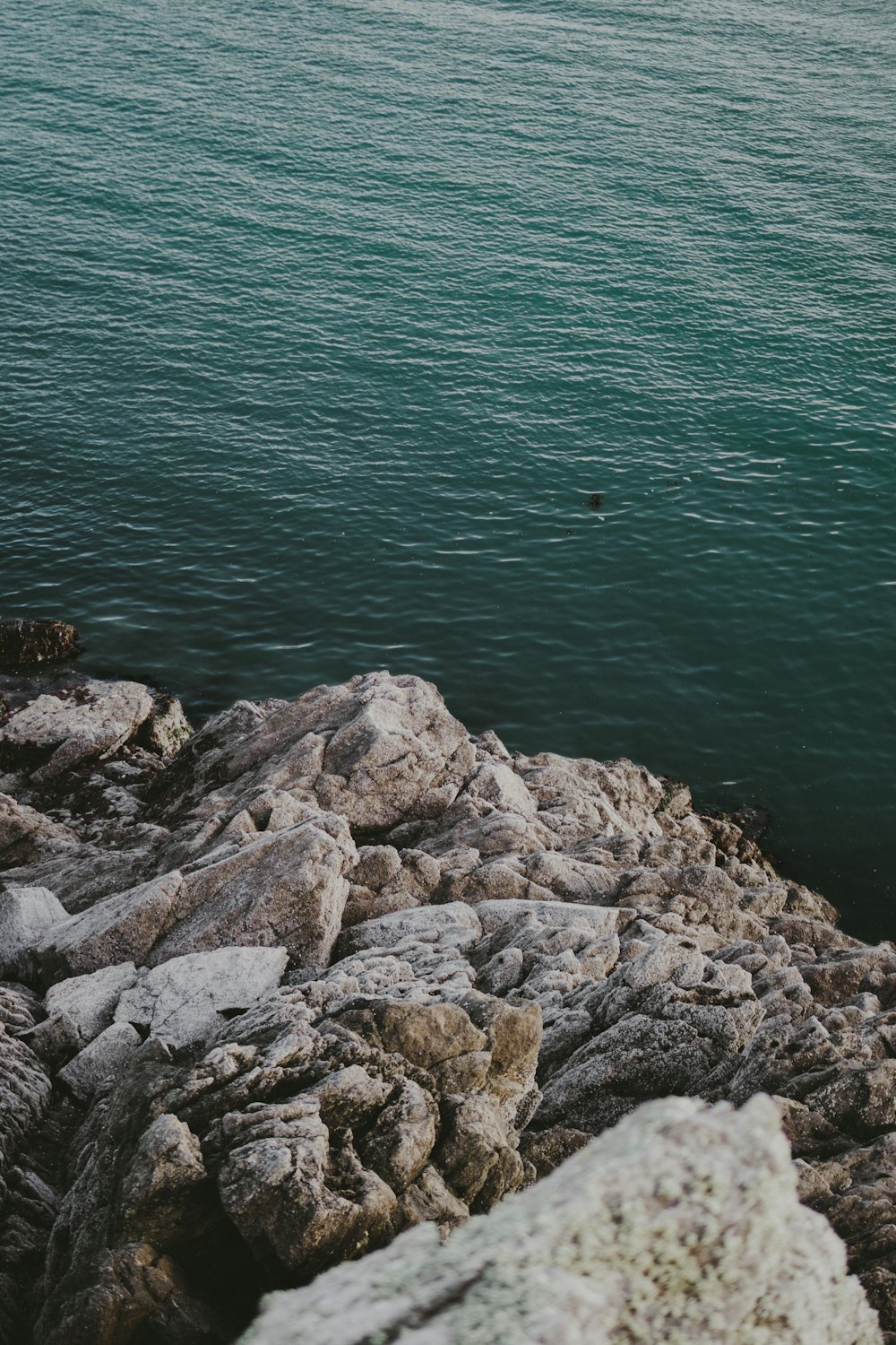 a person standing on a rocky shore next to a body of water