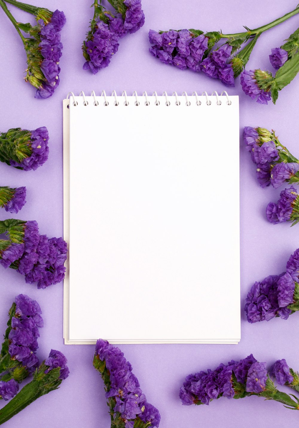 un bloc-notes entouré de fleurs violettes sur fond violet