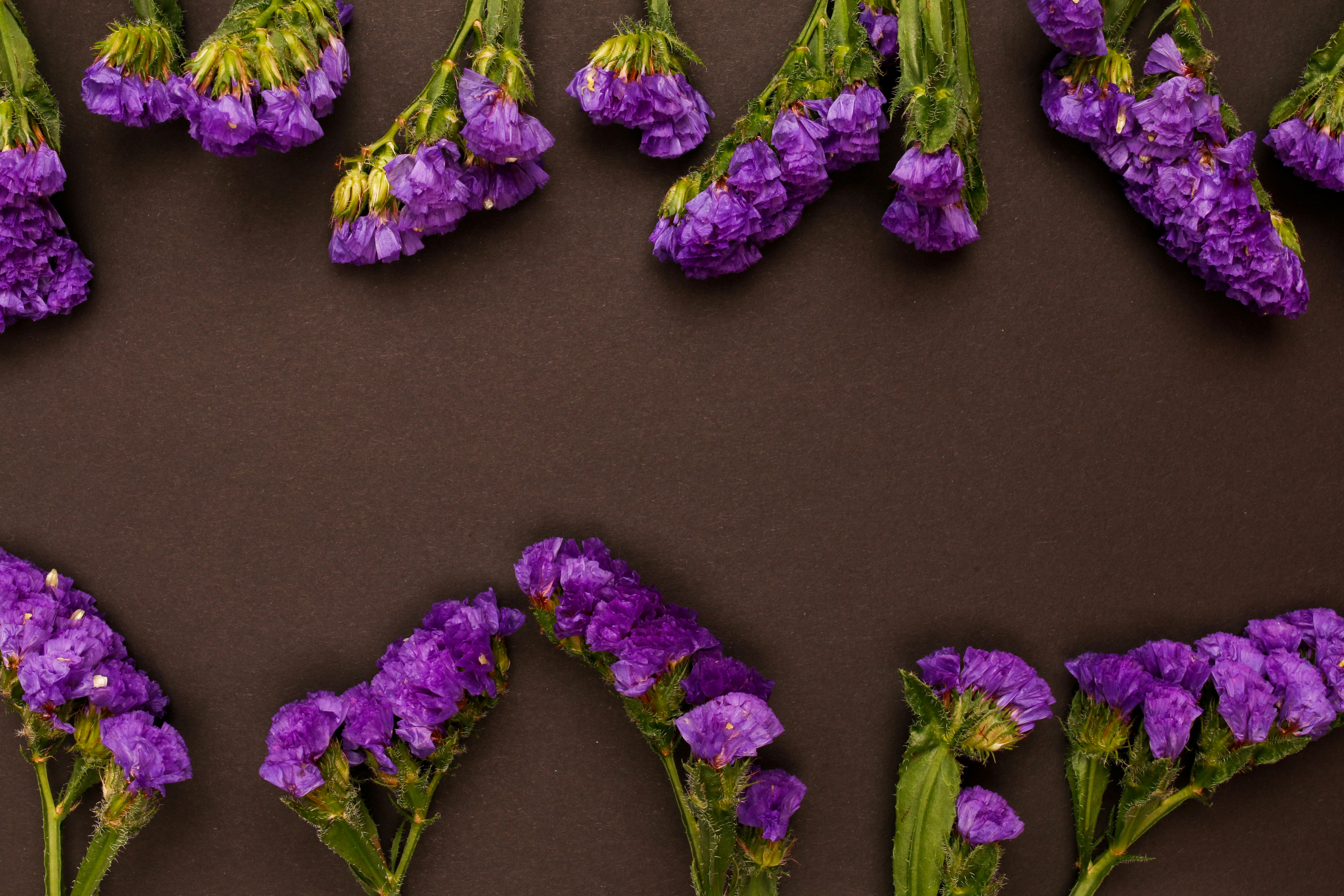 a bunch of purple flowers laying on top of each other