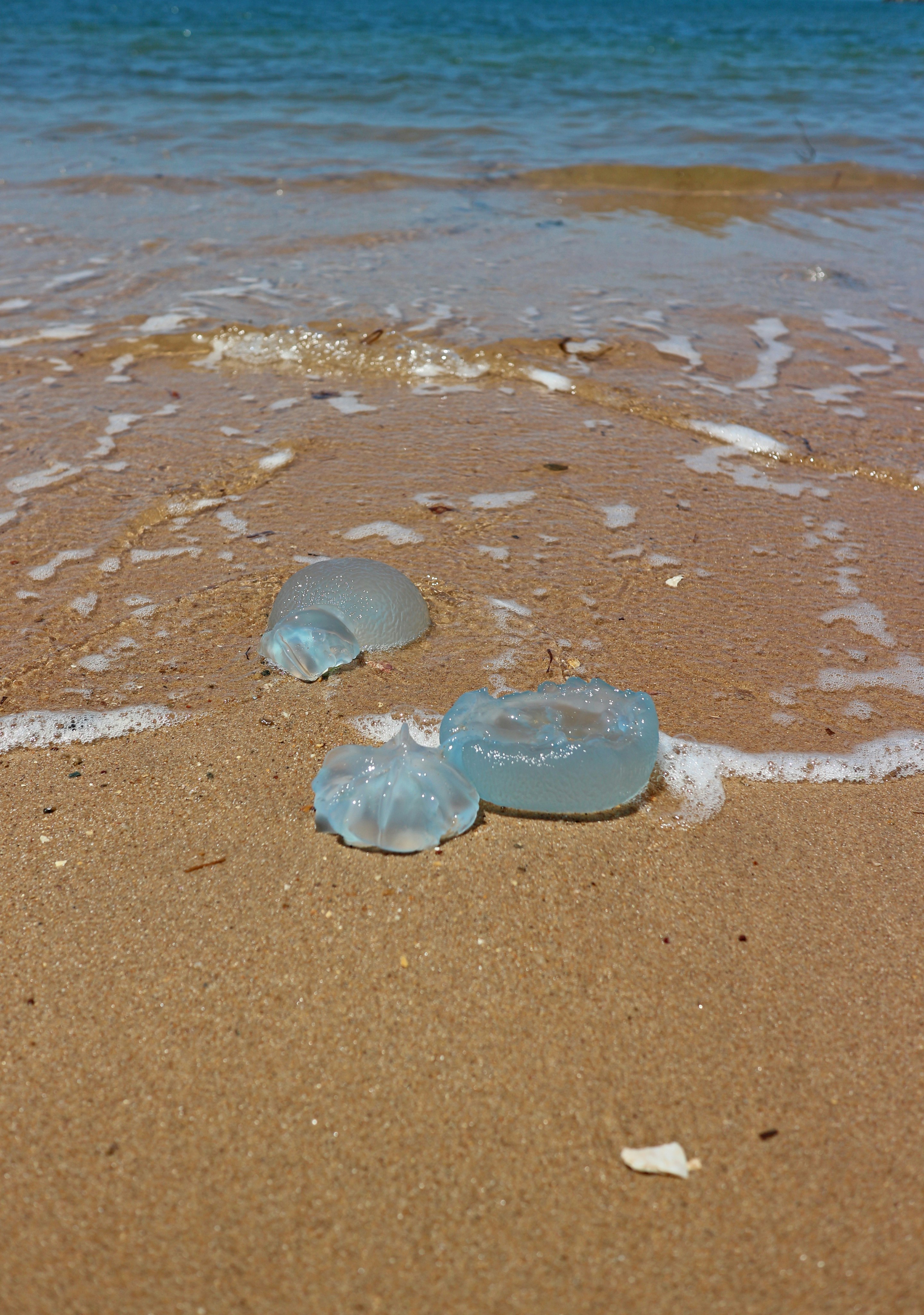 a couple of glass bottles sitting on top of a sandy beach