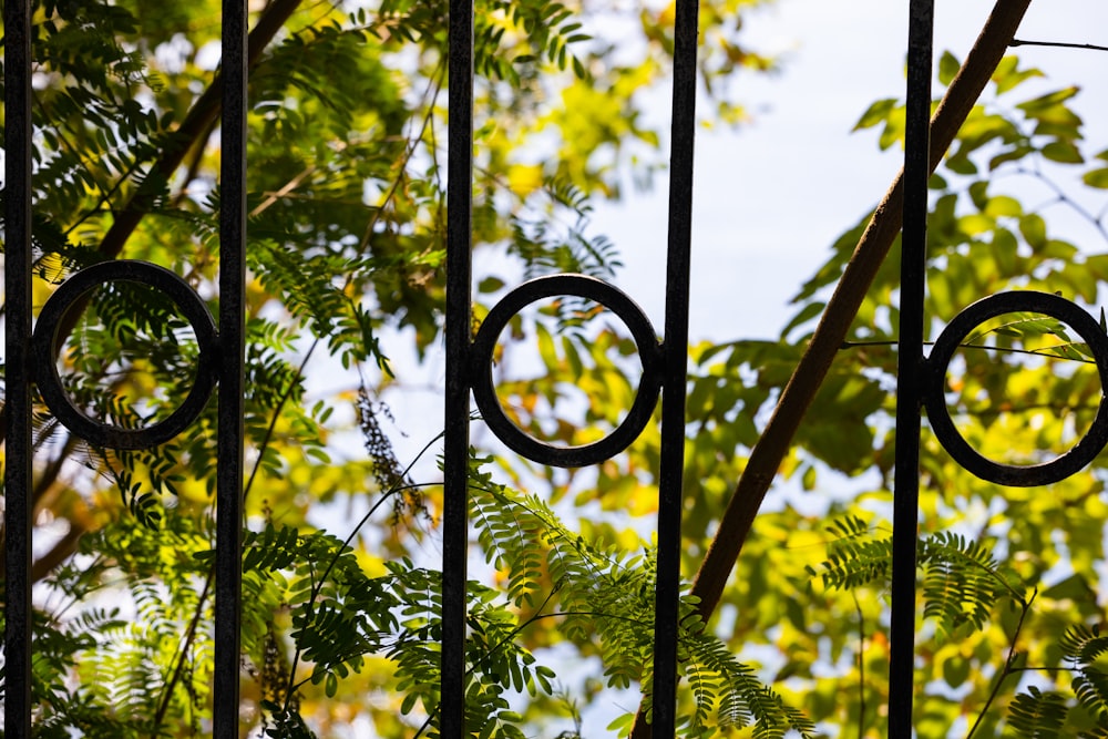 a close up of a metal fence with a tree in the background