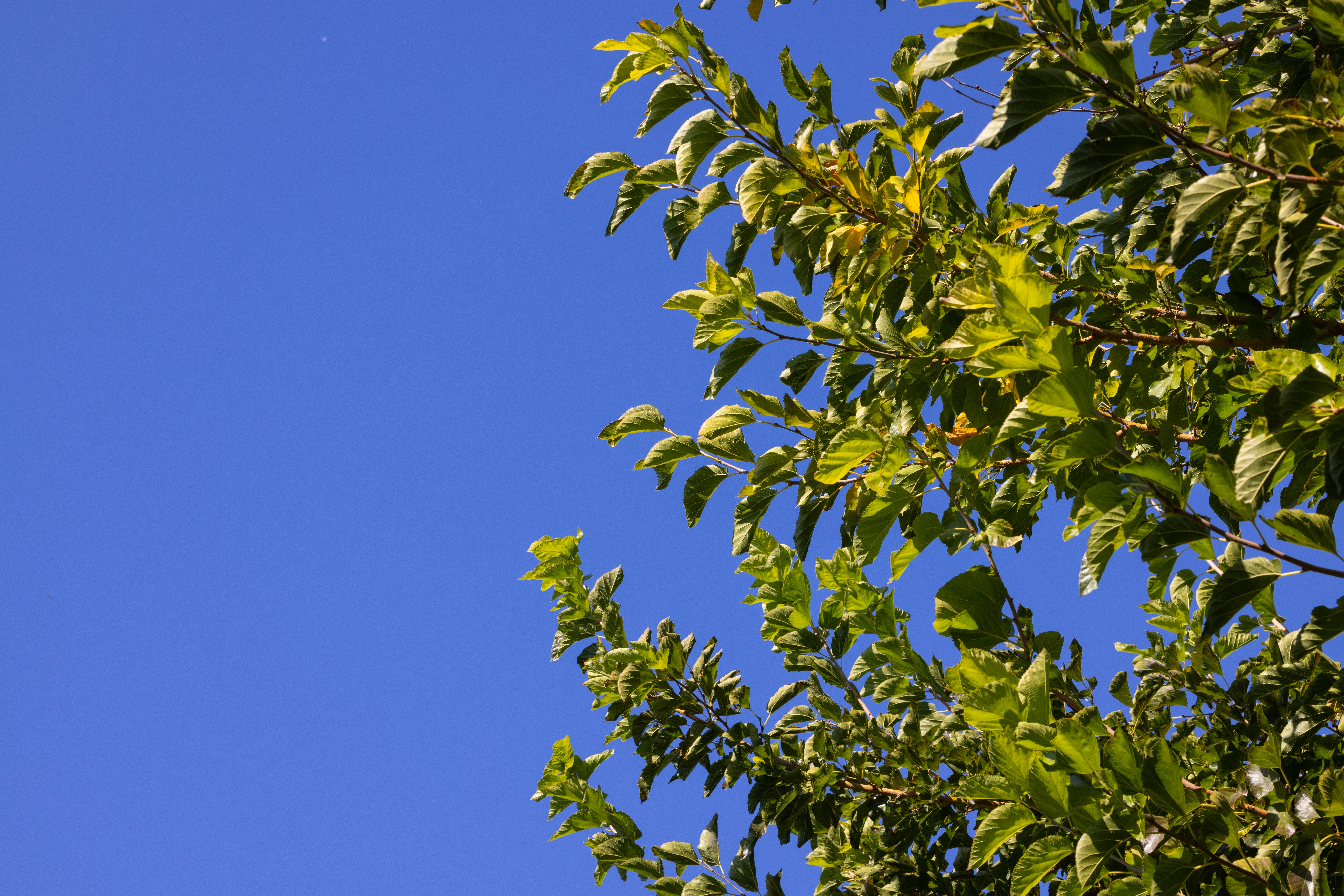 Photo by enginakyurt