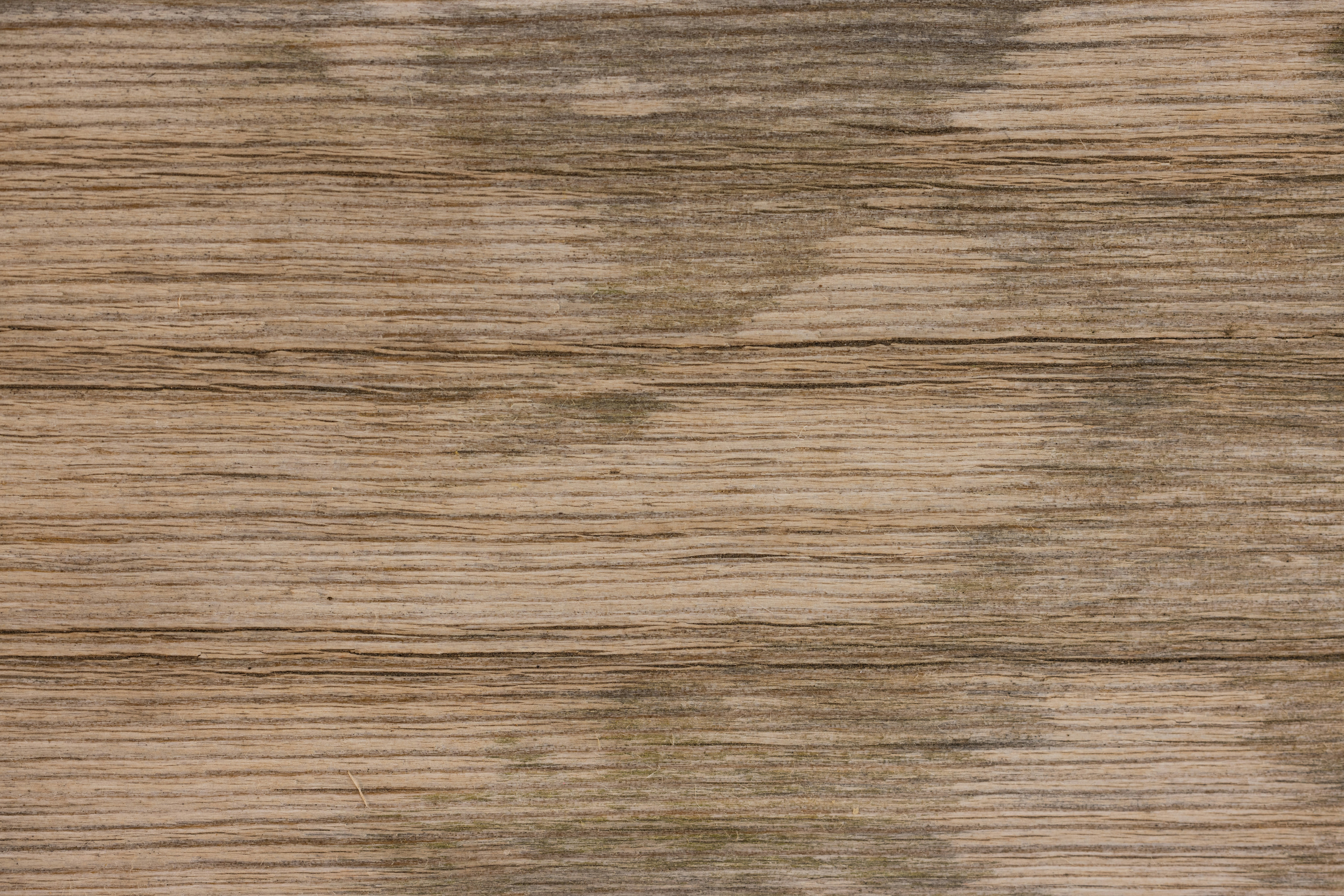 wooden texture