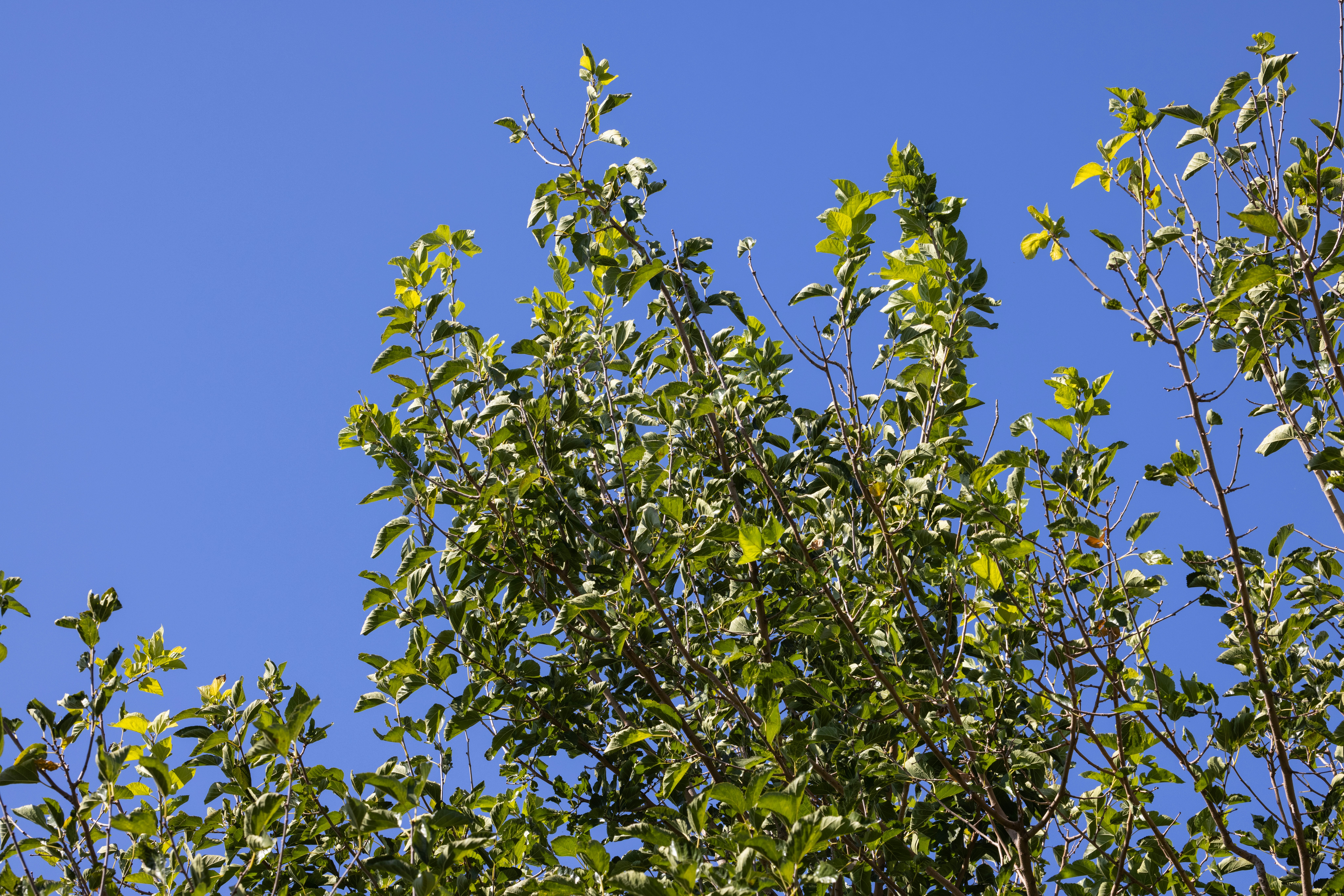 Photo by enginakyurt