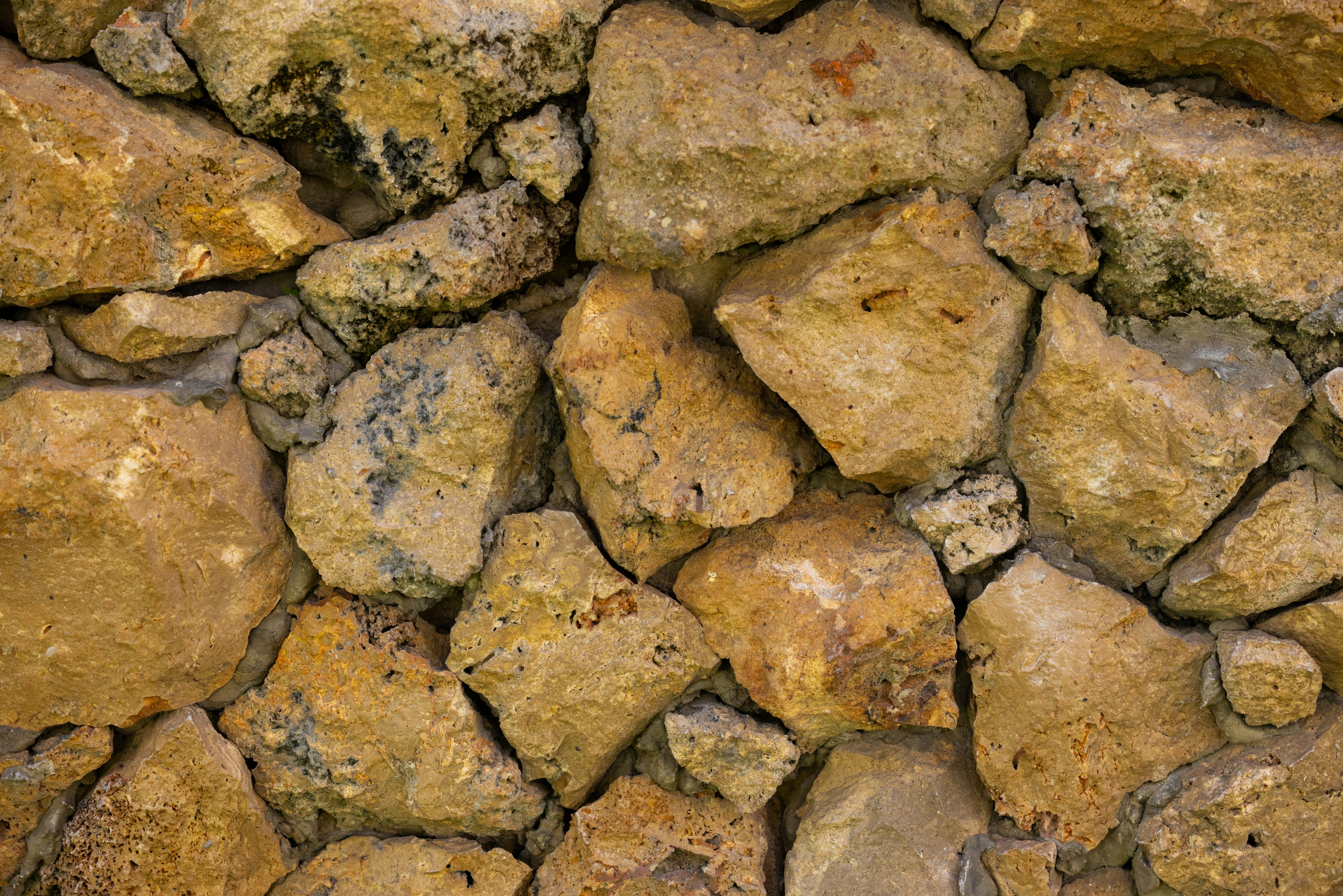 Photo by enginakyurt