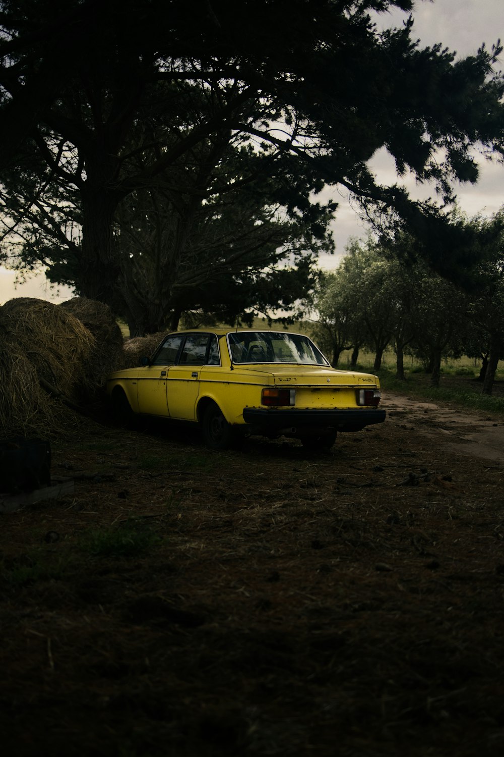 a yellow car parked in a field next to a tree