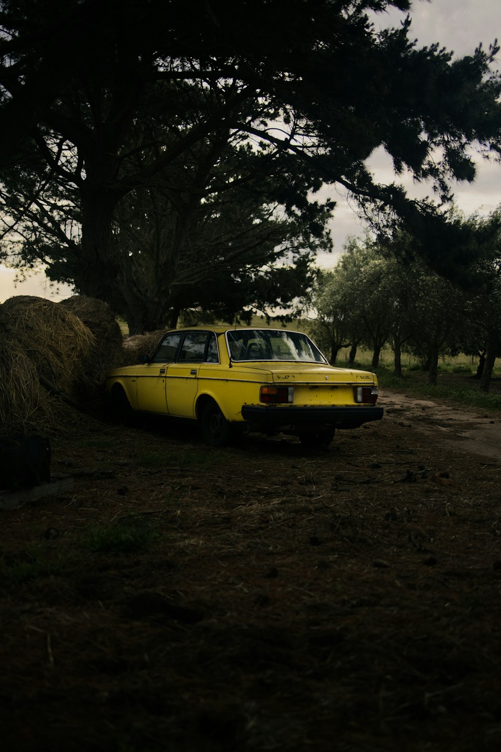 Un coche amarillo aparcado en un campo junto a un árbol