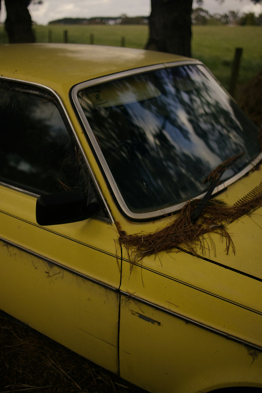 a yellow car parked in a field next to a tree