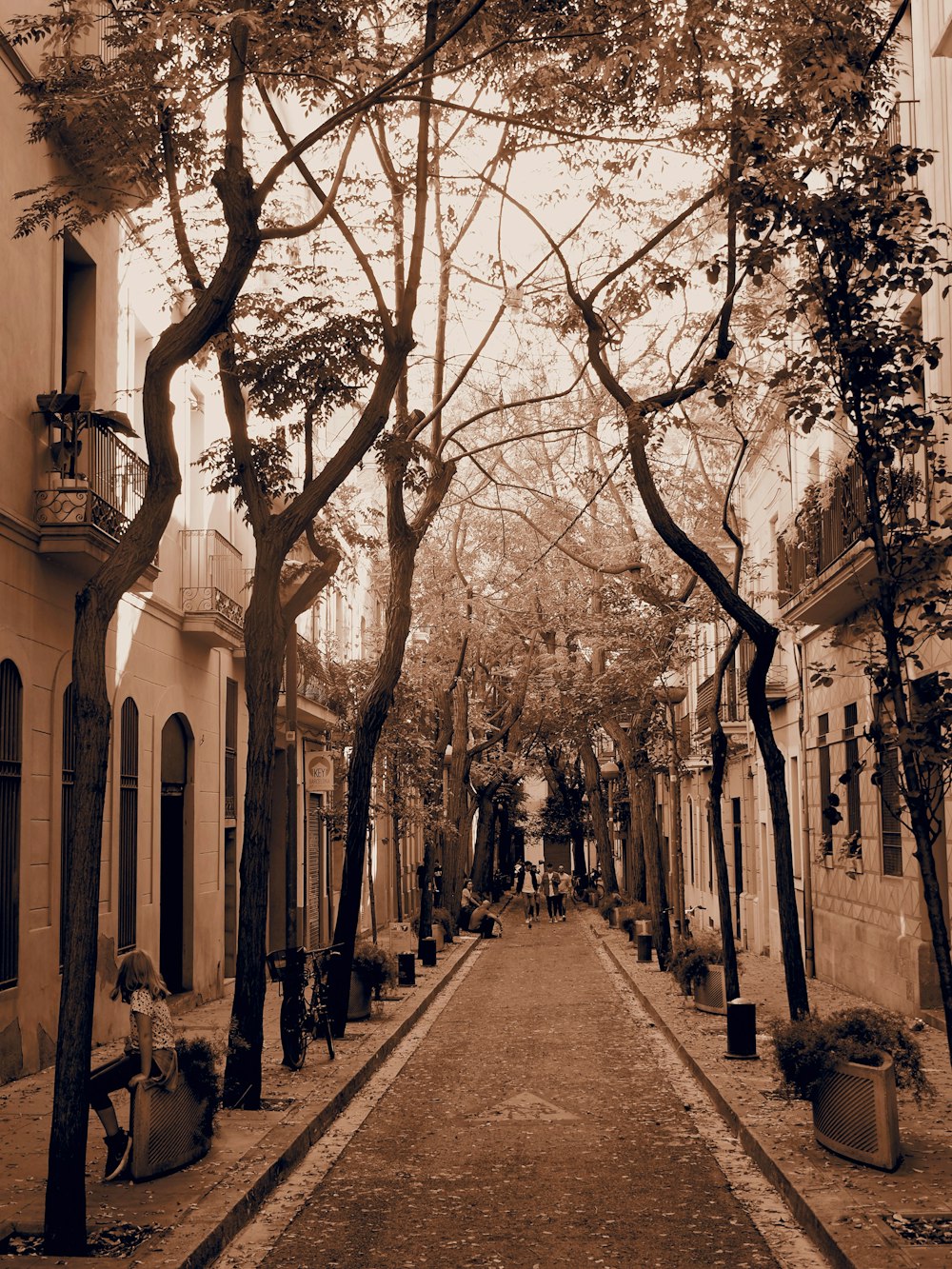 uma rua estreita ladeada por árvores e edifícios