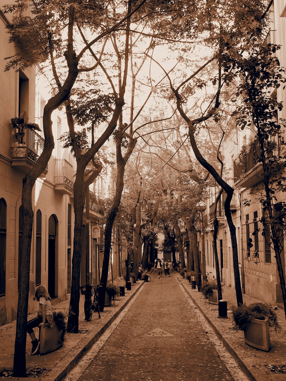 Una calle estrecha bordeada de árboles y edificios