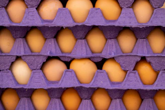 a purple carton filled with lots of eggs