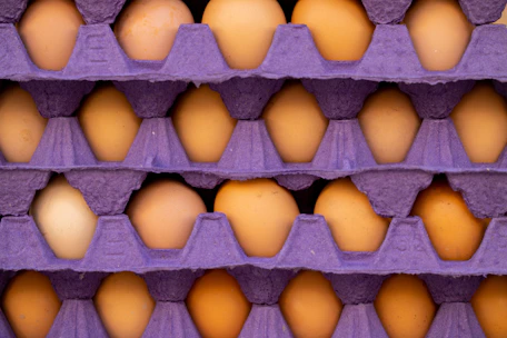 a purple carton filled with lots of eggs