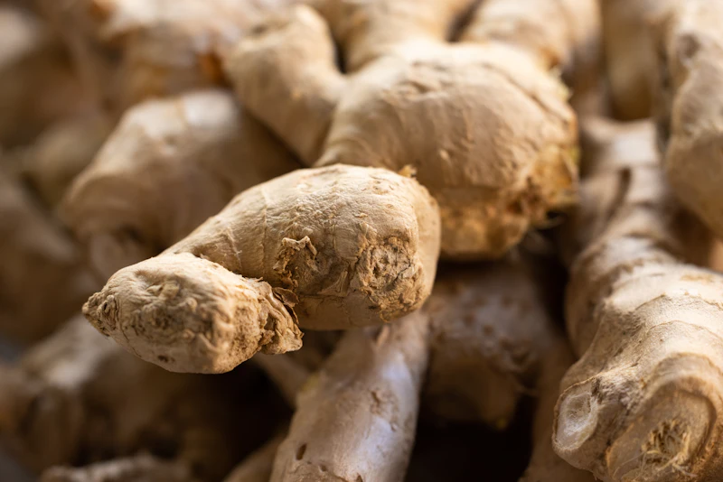 Fresh ginger roots
