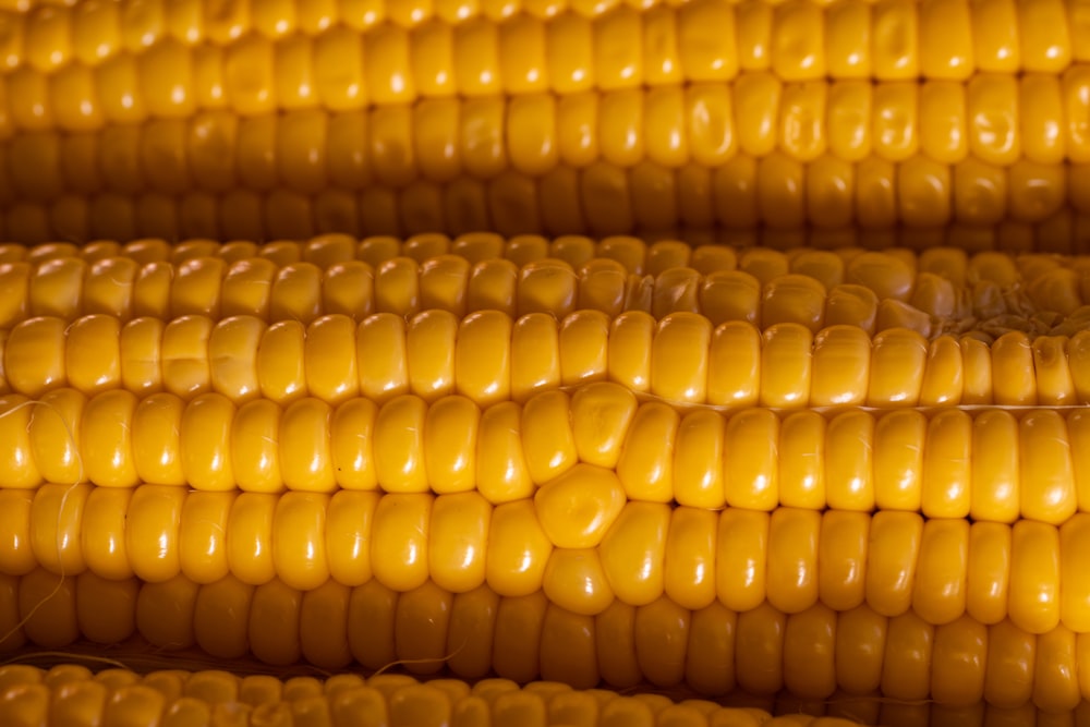 a close up of corn on the cob