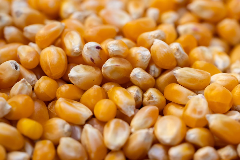 Un primer plano de una pila de maíz
