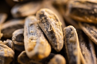 Close-up view of several salted, roasted sunflower seeds in their shells, displaying texture and surface details.