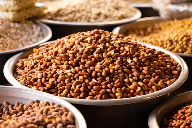 A close-up view of several metal trays filled with different types of unprocessed legumes, prominently featuring brown peanuts in the center. The trays are arranged closely together on a flat surface.