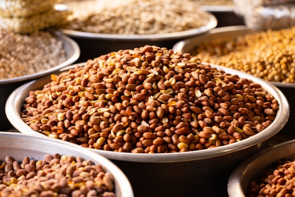 A close-up view of several metal trays filled with different types of unprocessed legumes, prominently featuring brown peanuts in the center. The trays are arranged closely together on a flat surface.