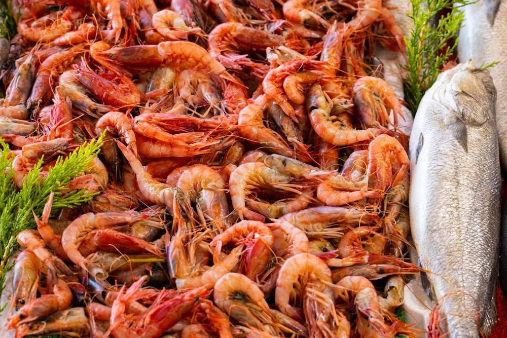 a bunch of shrimp that are on a table