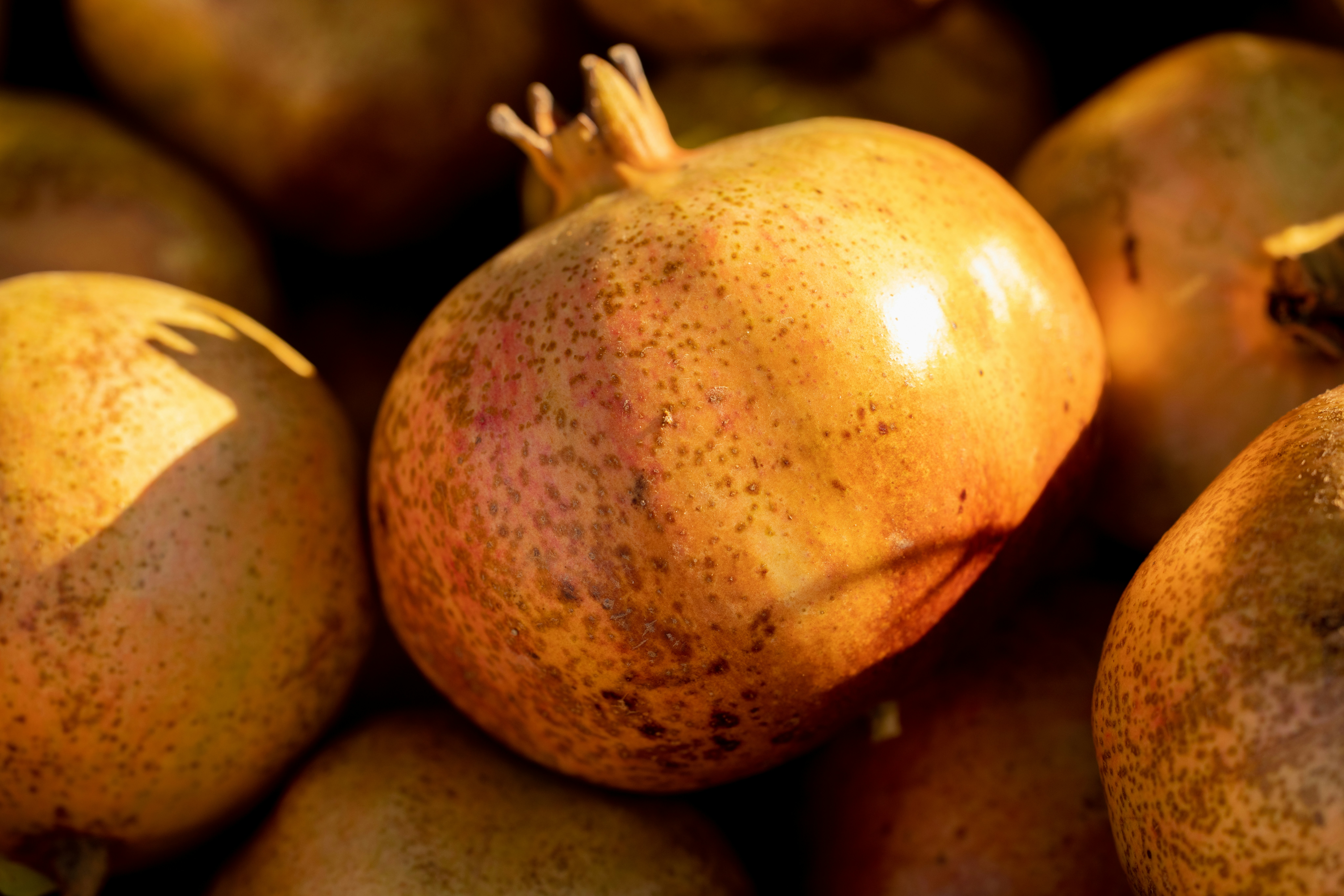 Photo by enginakyurt