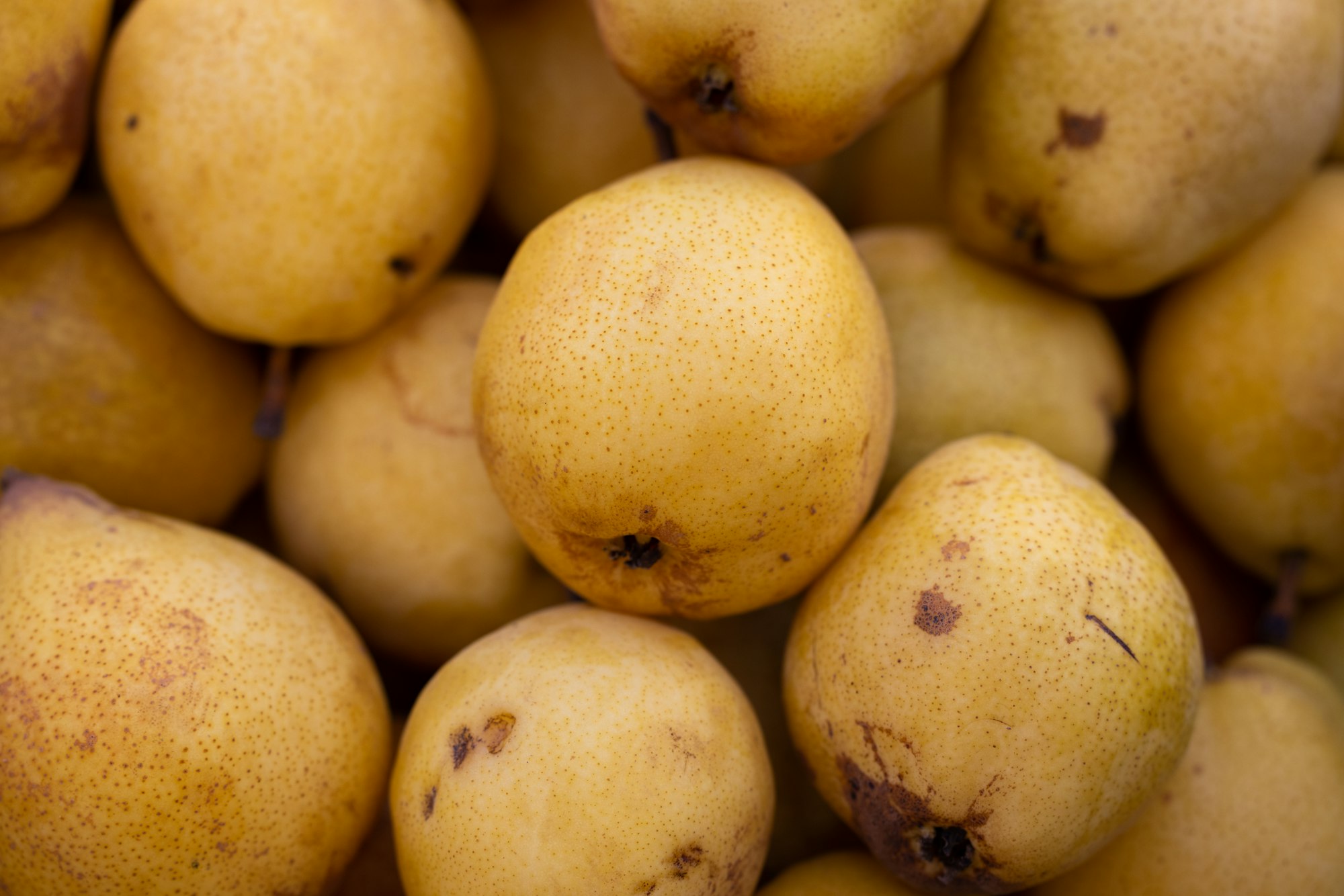 a pile of yellow pears with brown spots