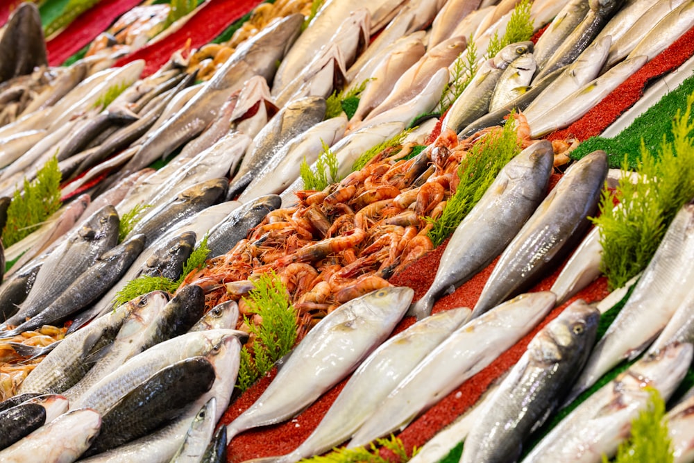 a bunch of fish that are on a table