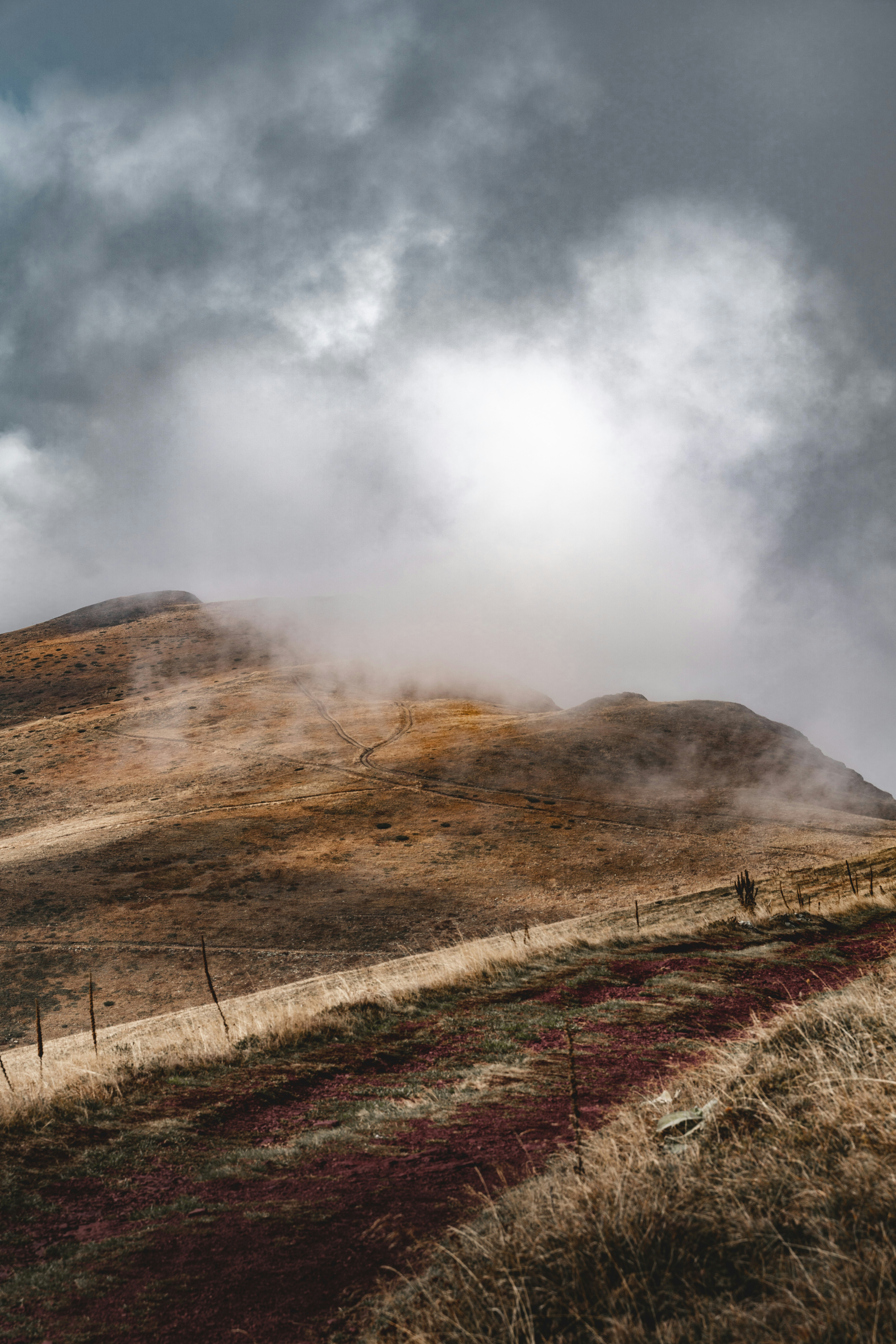 Photo by djordjevukojicic