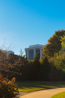 a view of a building in the distance with trees in the foreground