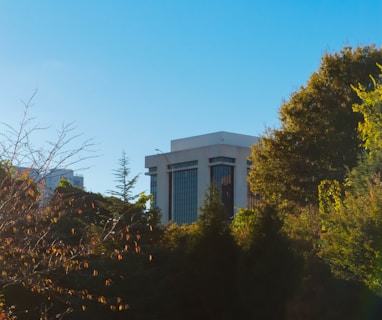 a view of a building in the distance with trees in the foreground