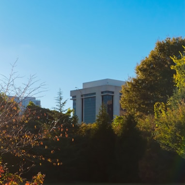 a view of a building in the distance with trees in the foreground