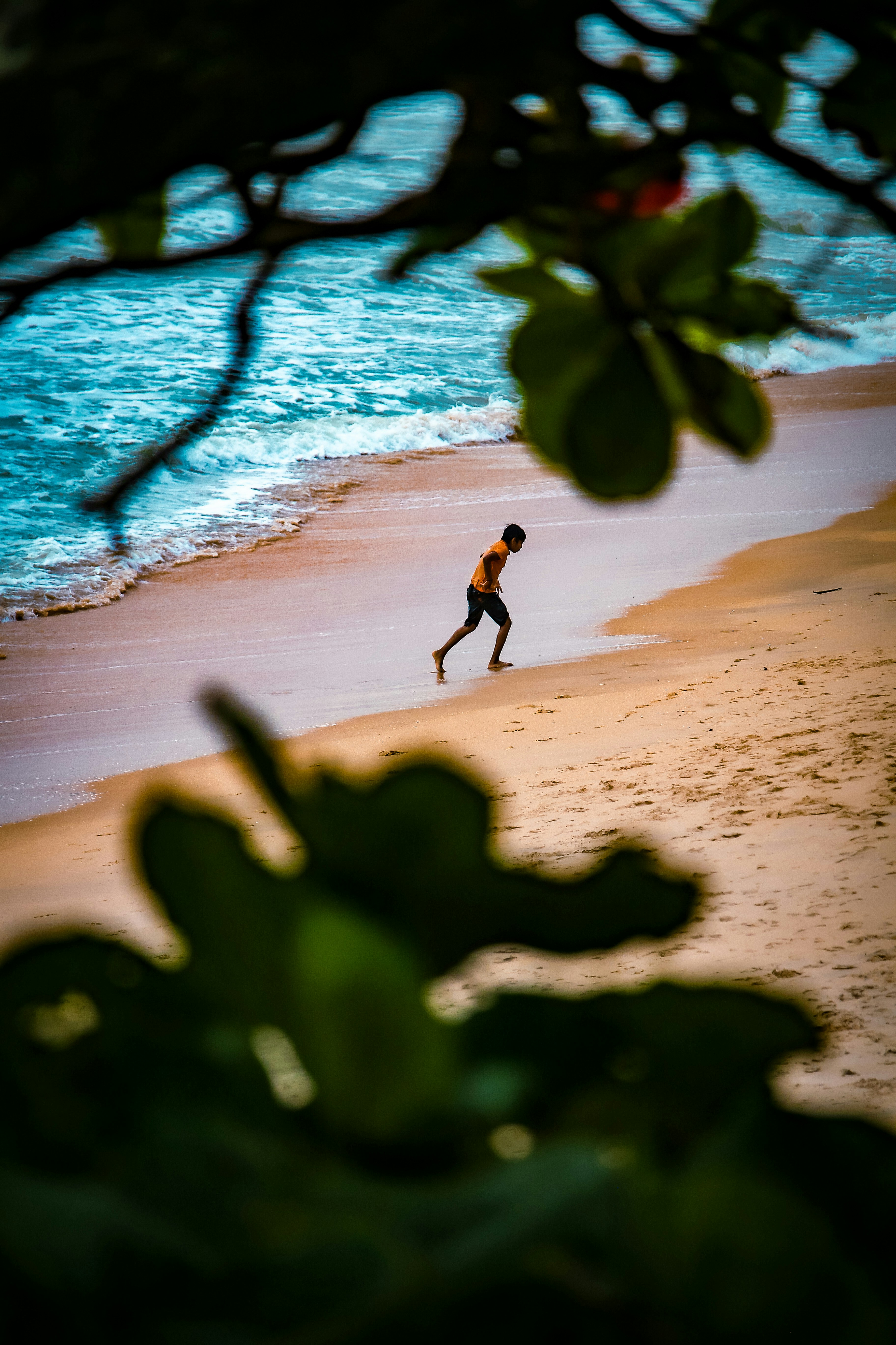 A person running on a beach near the ocean photo – Free Payyambalam ...