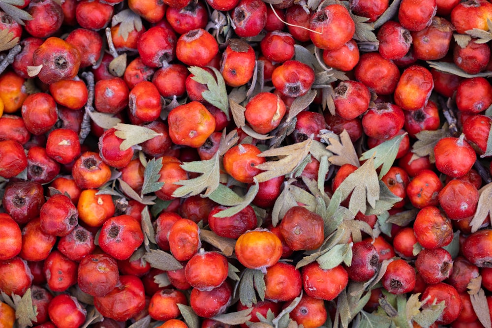 a pile of red apples with green leaves