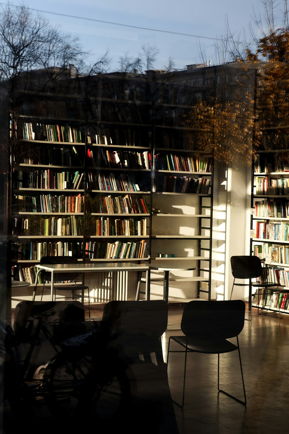 a room filled with lots of books and furniture