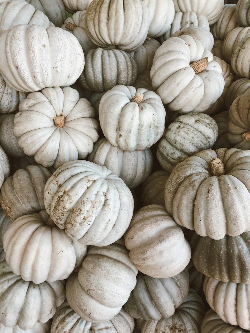 a pile of white pumpkins sitting next to each other