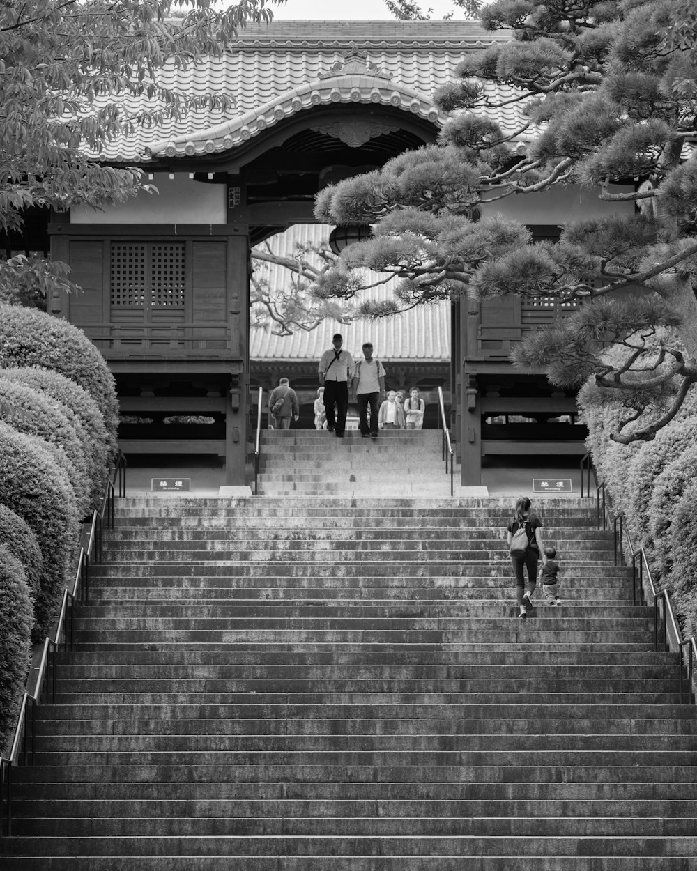 a couple of people that are walking up some stairs