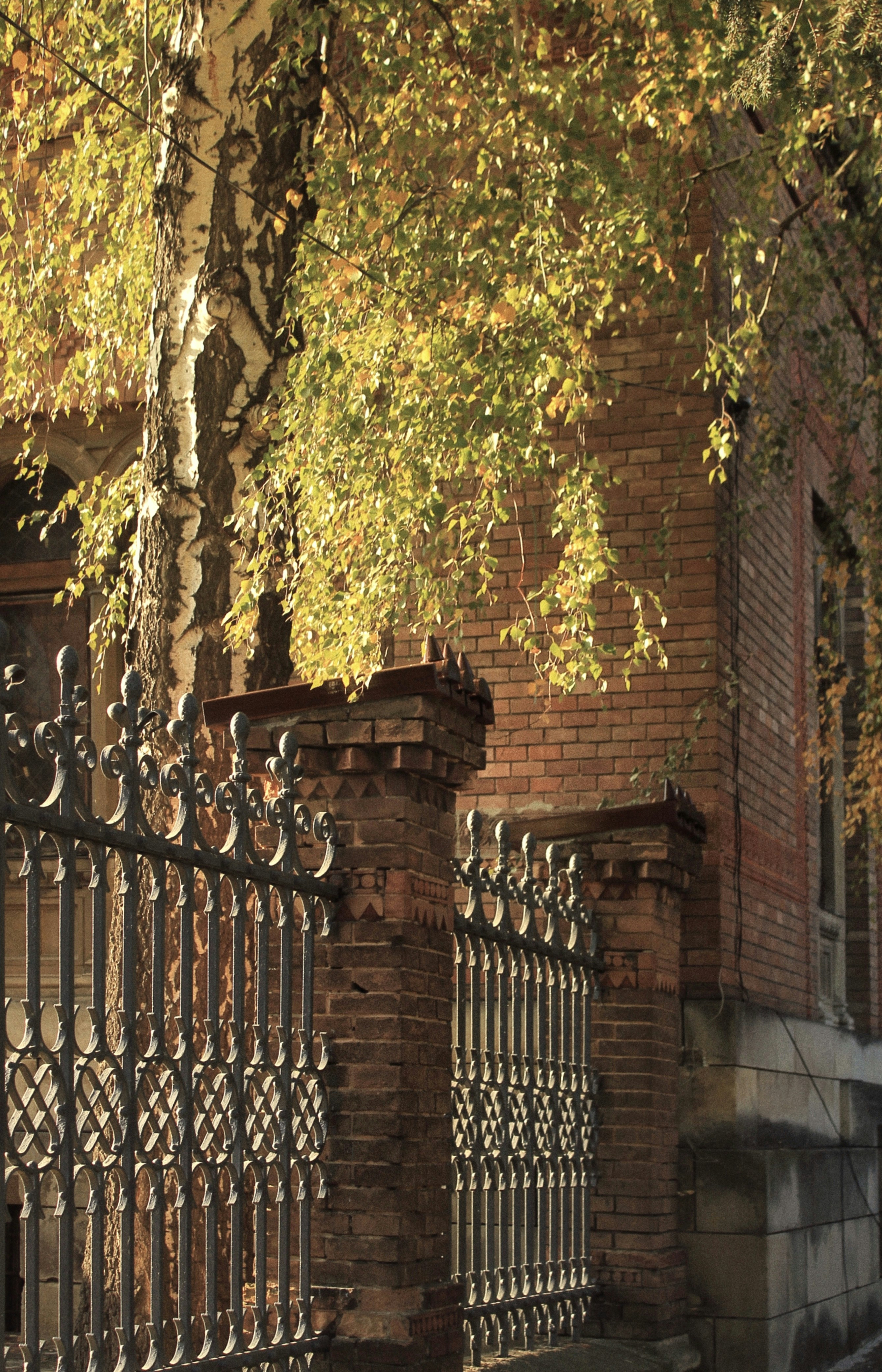 Photo by bogdan_vaskan