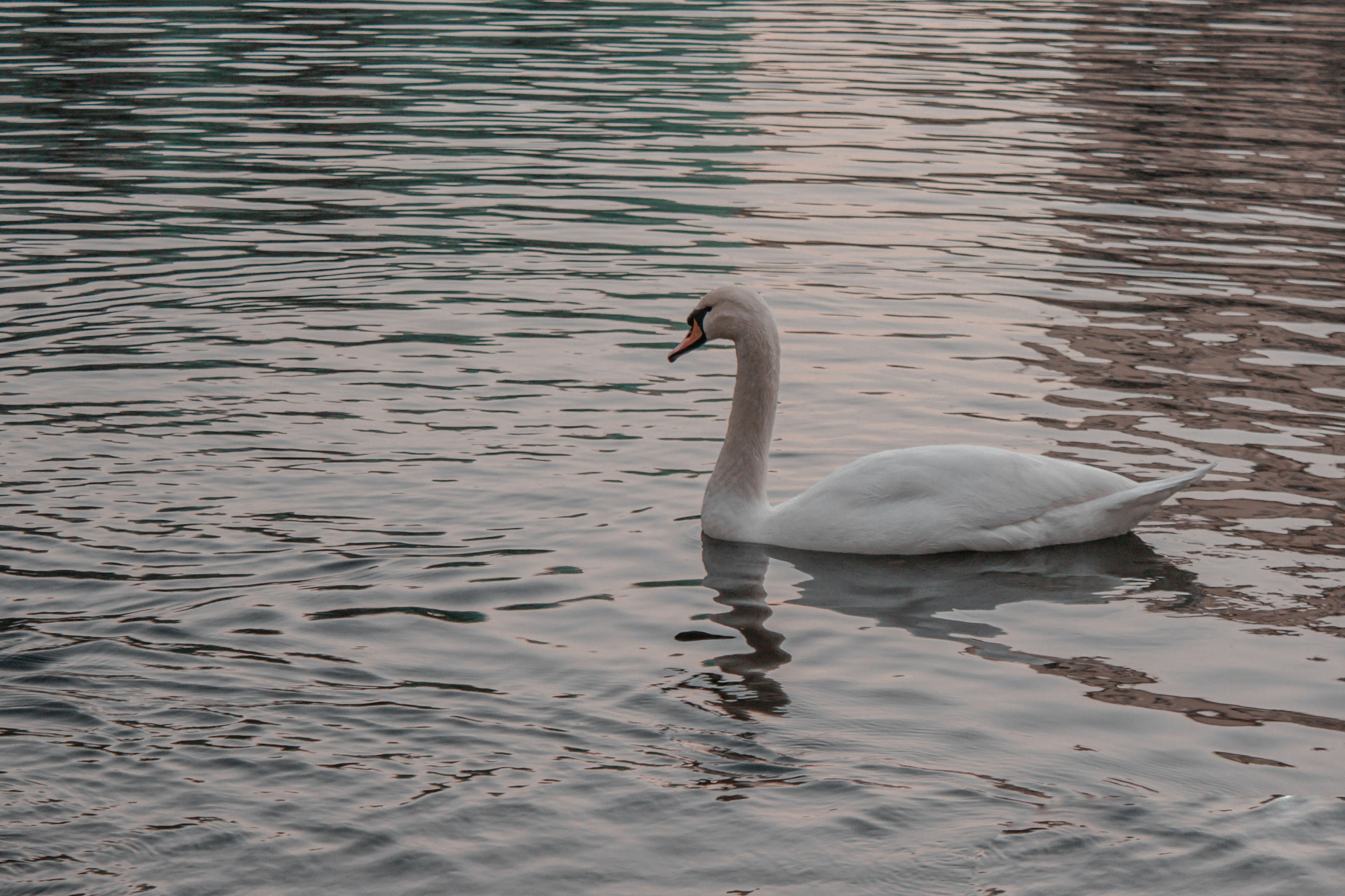 Photo by sam_badmaeva