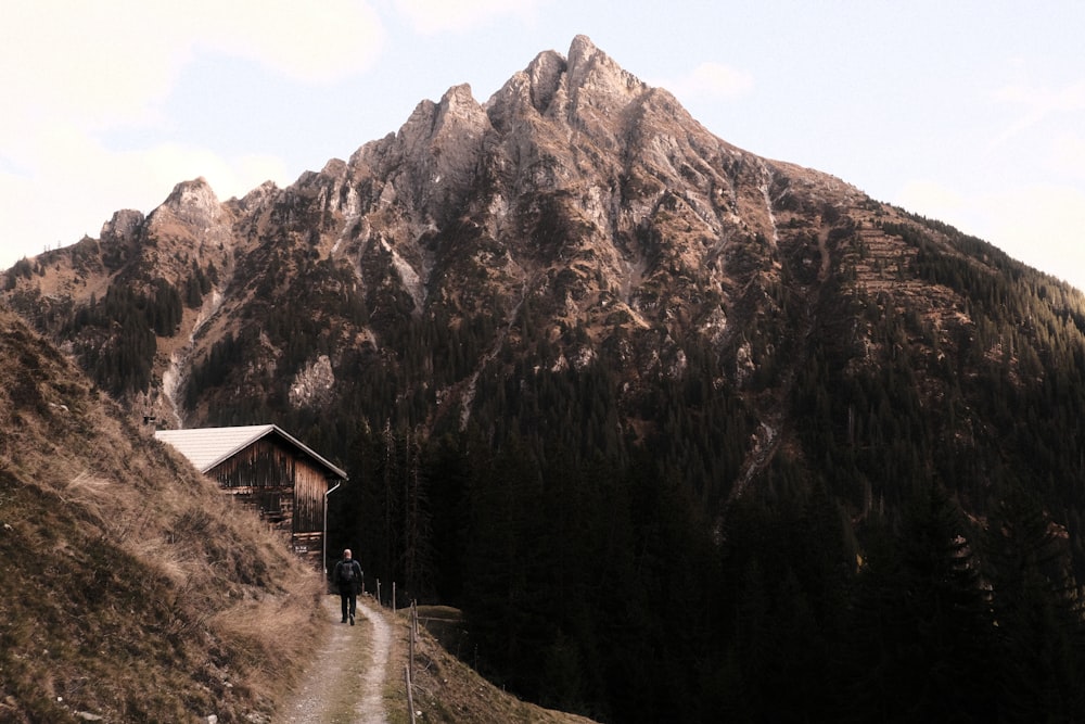 a person standing on a path in front of a mountain