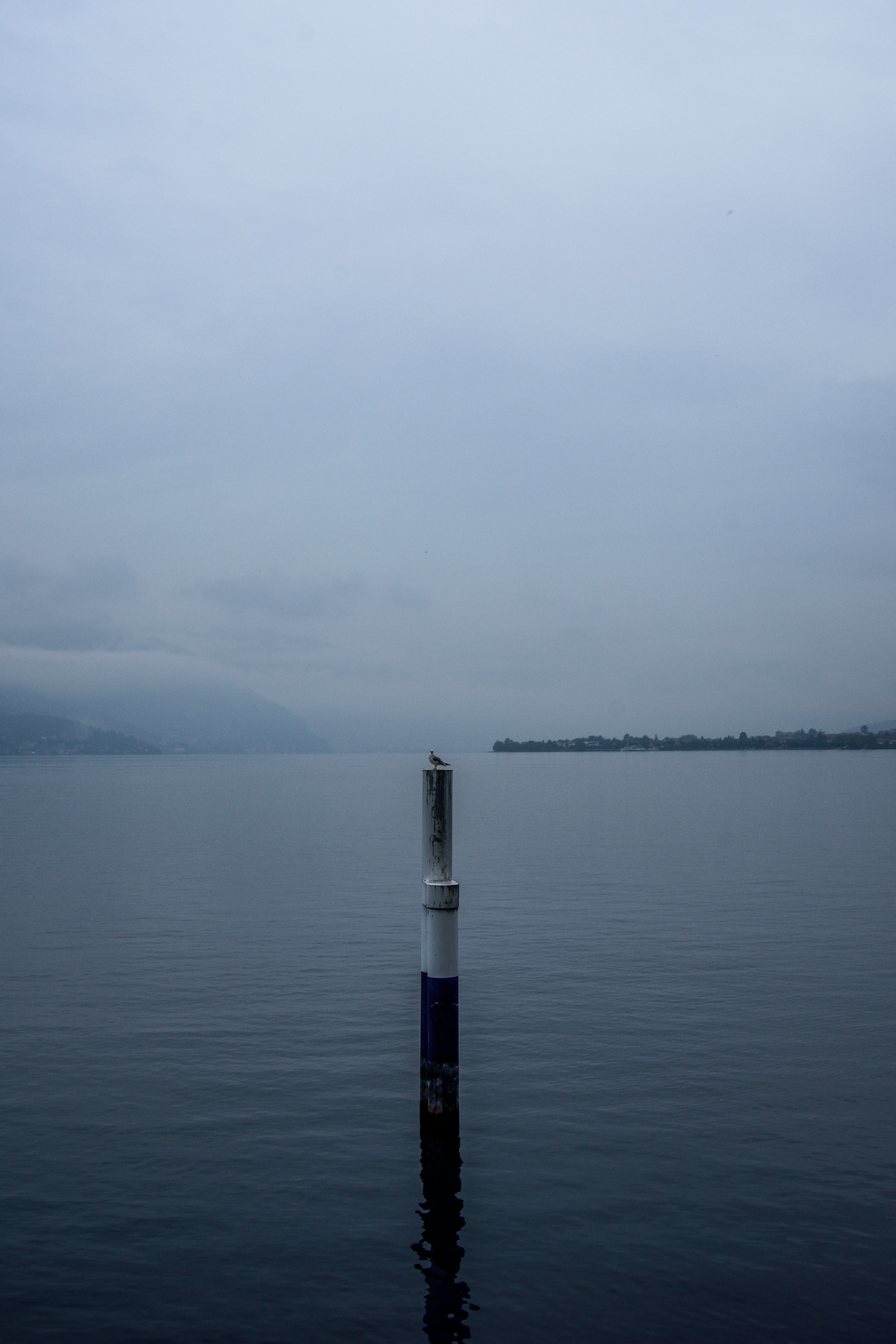 Photo by simo__zabov