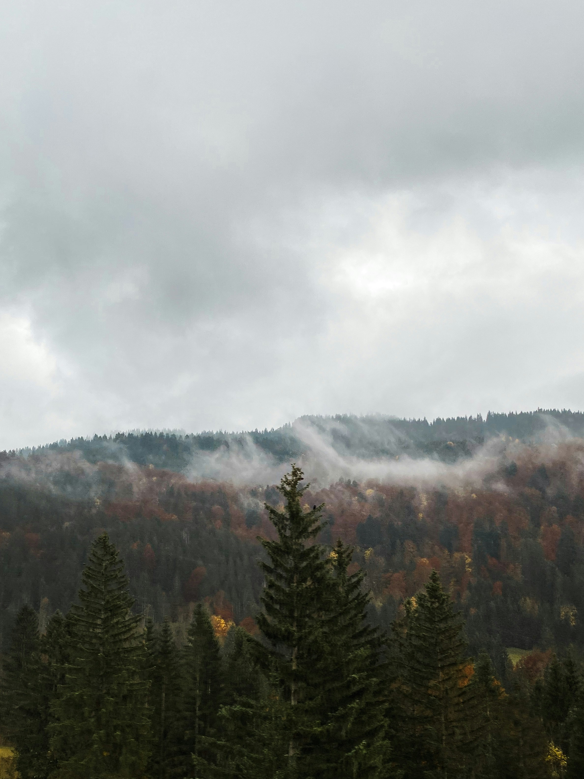 Photo by natalino_damato