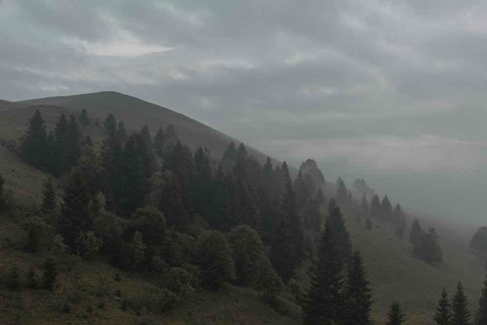 a hill covered in fog and trees on a cloudy day