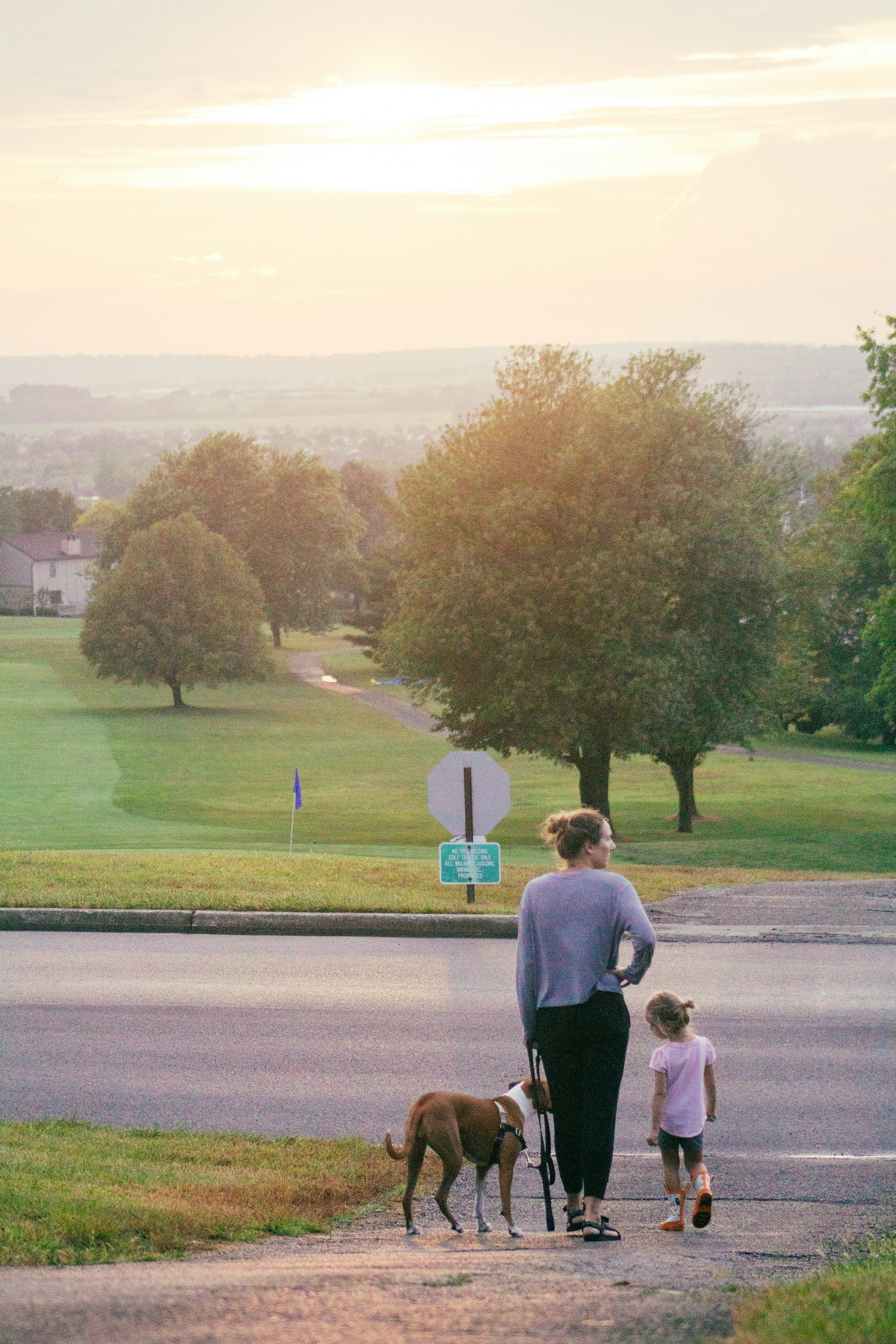 Golden hour at the end of summer.