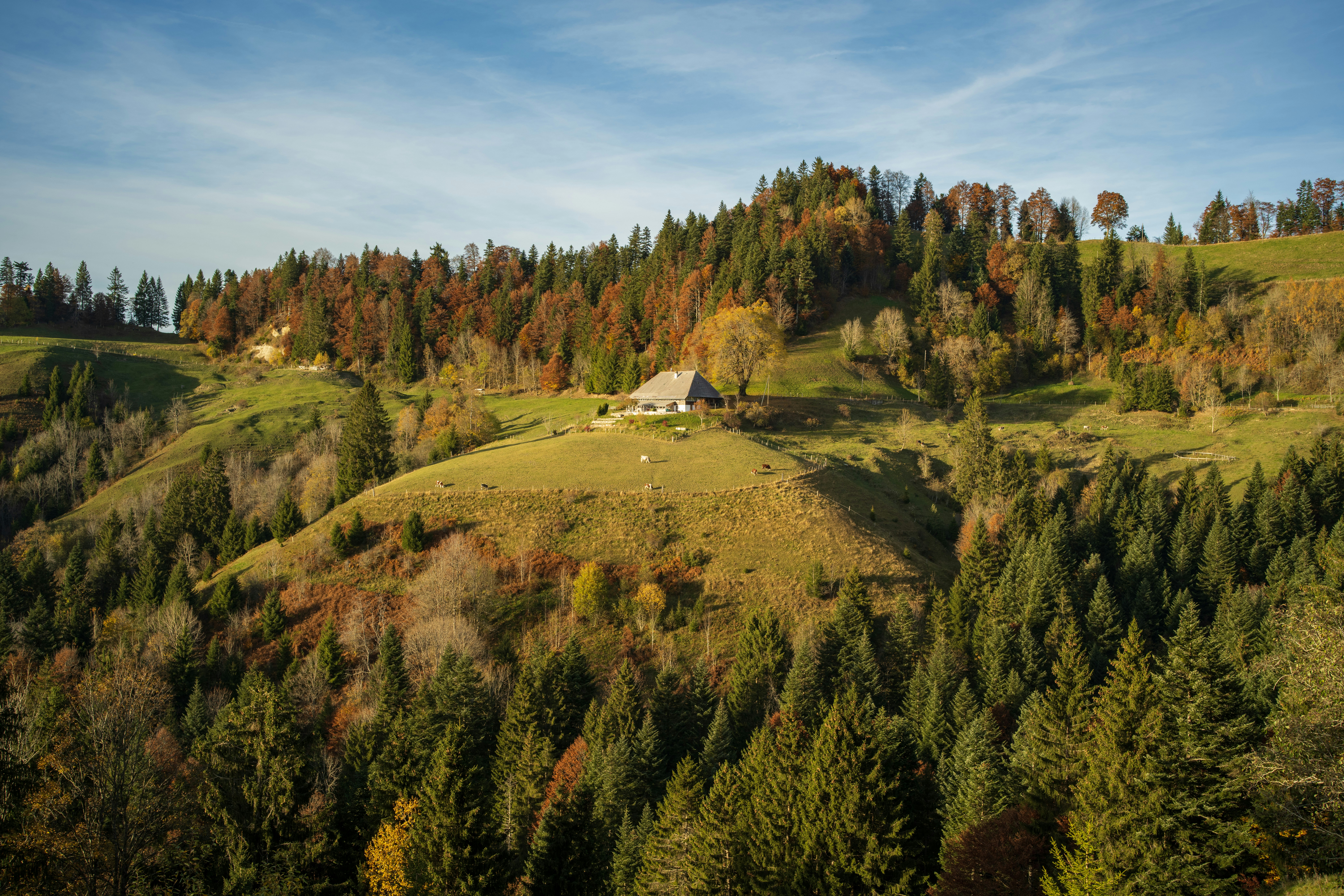 Photo by fabianbetto