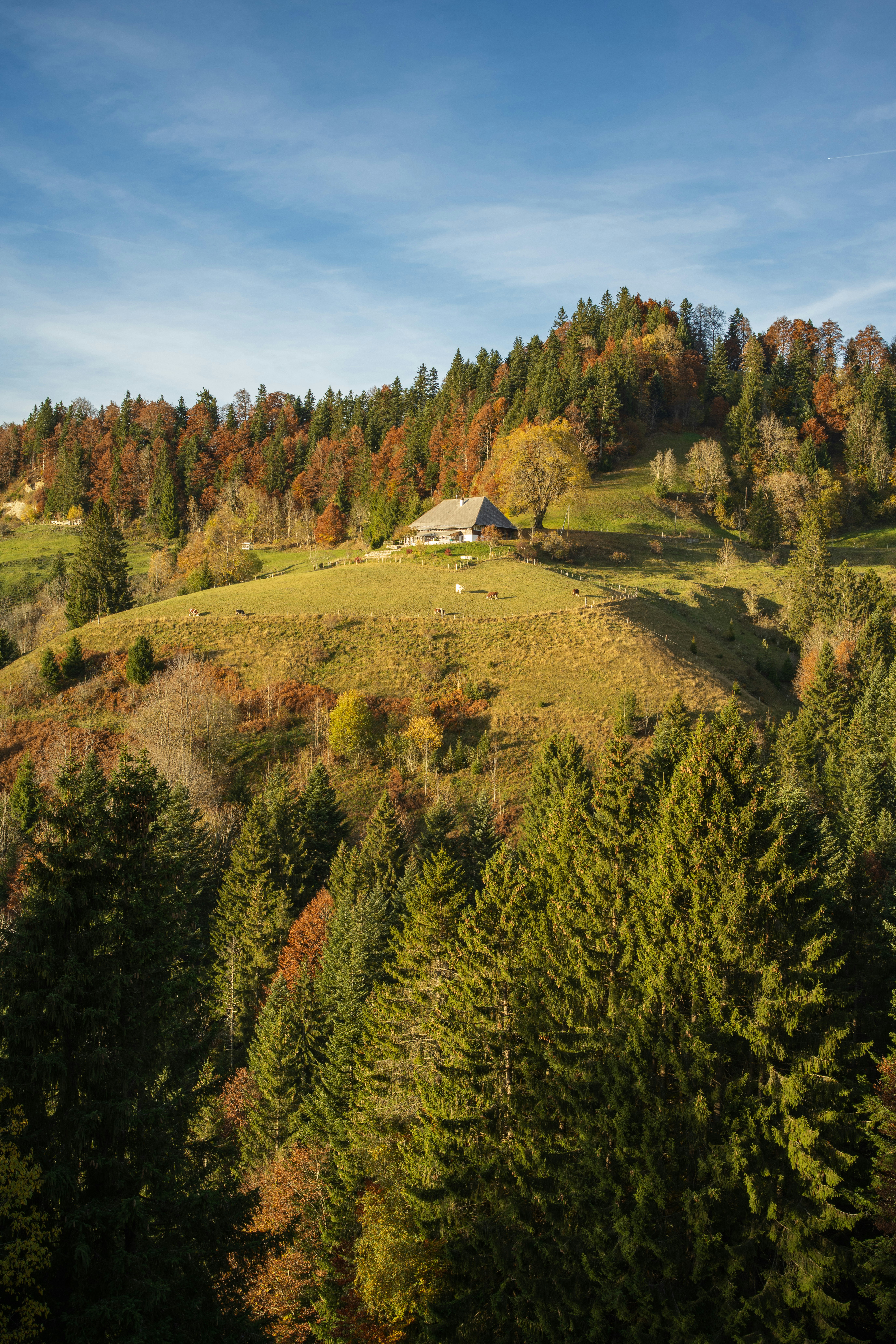 Photo by fabianbetto