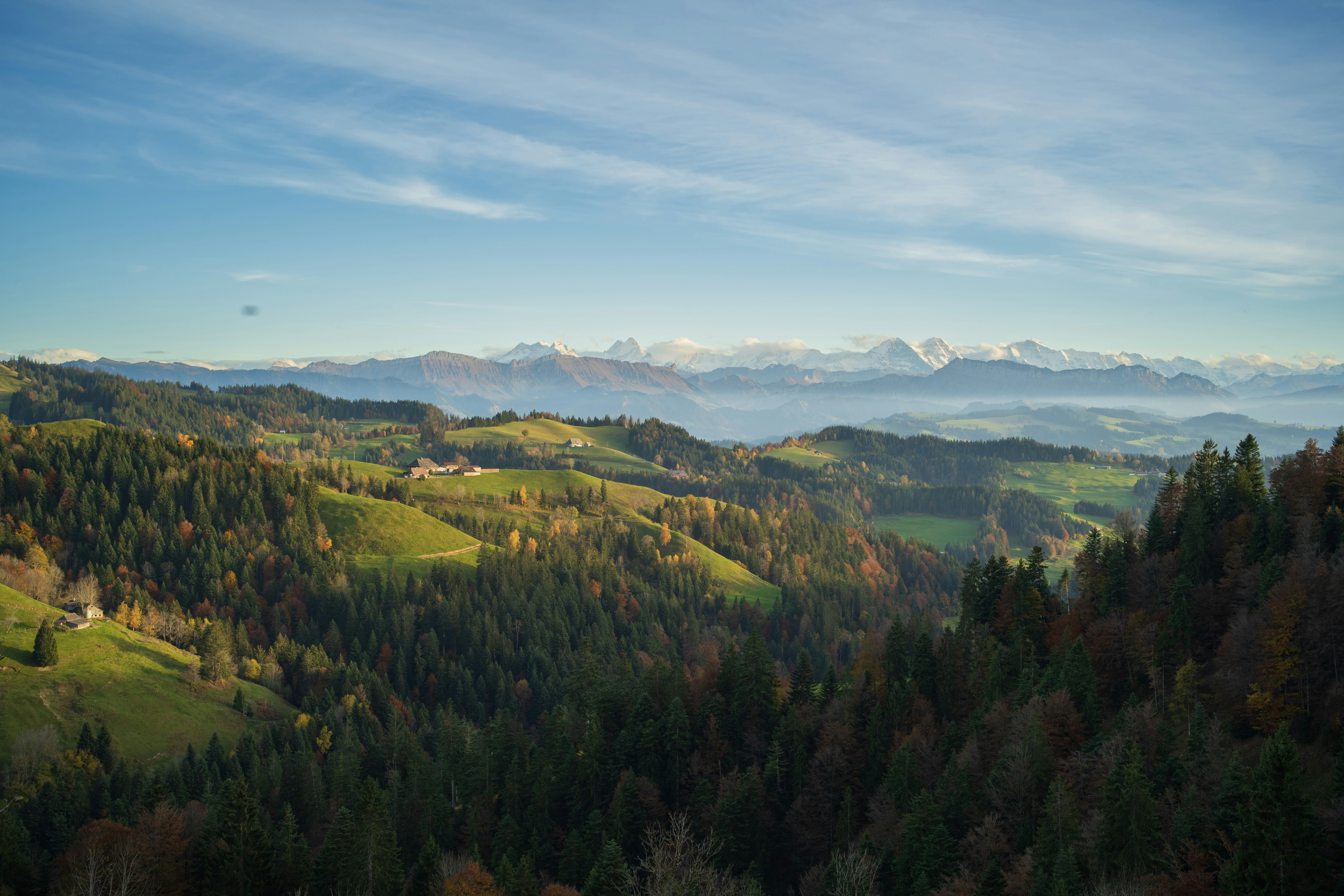 Photo by fabianbetto