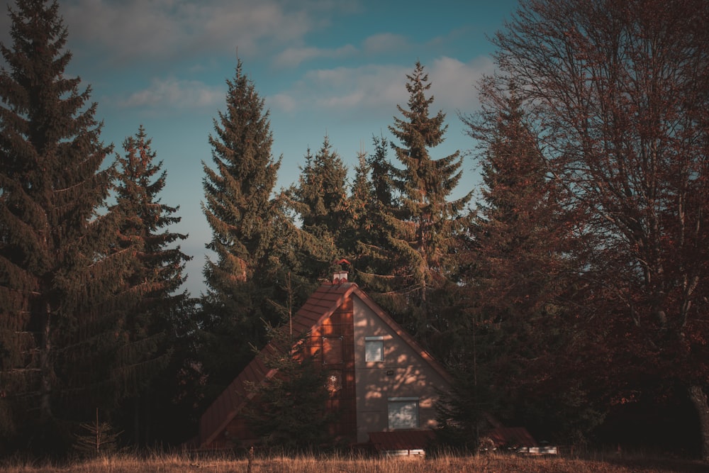 a cabin in the woods with trees in the background