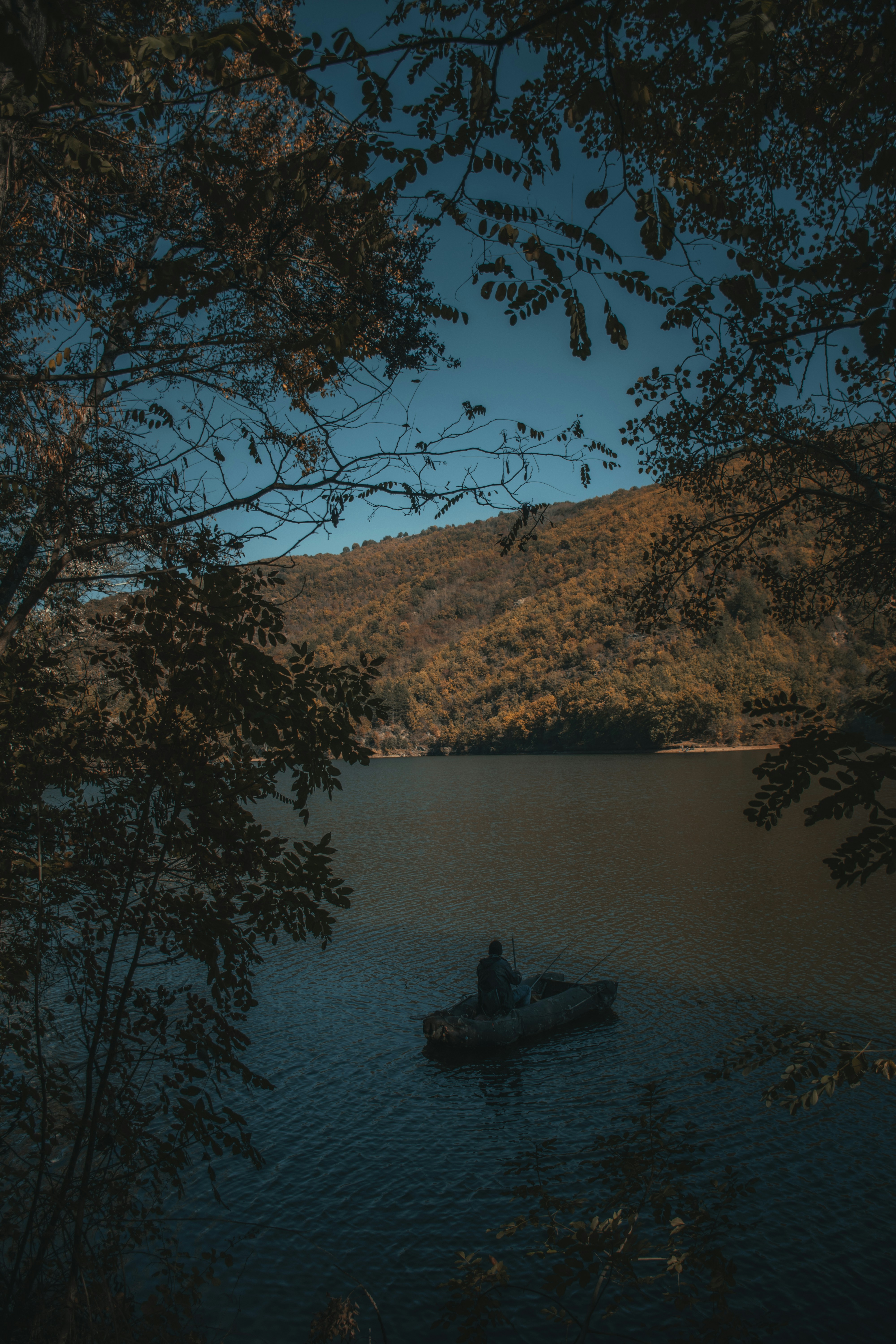 Photo by nikola43